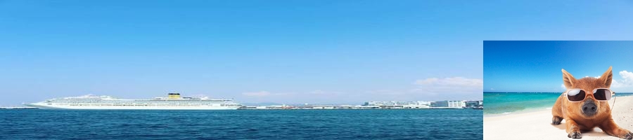 アラカブ（カサゴ）を湾奥で釣るメソッド